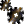 nutchez-0.1/tomcat/webapps/examples/jsp/images/execute.gif